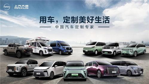 国产自在,探寻中国本土文化的独特魅力  第2张